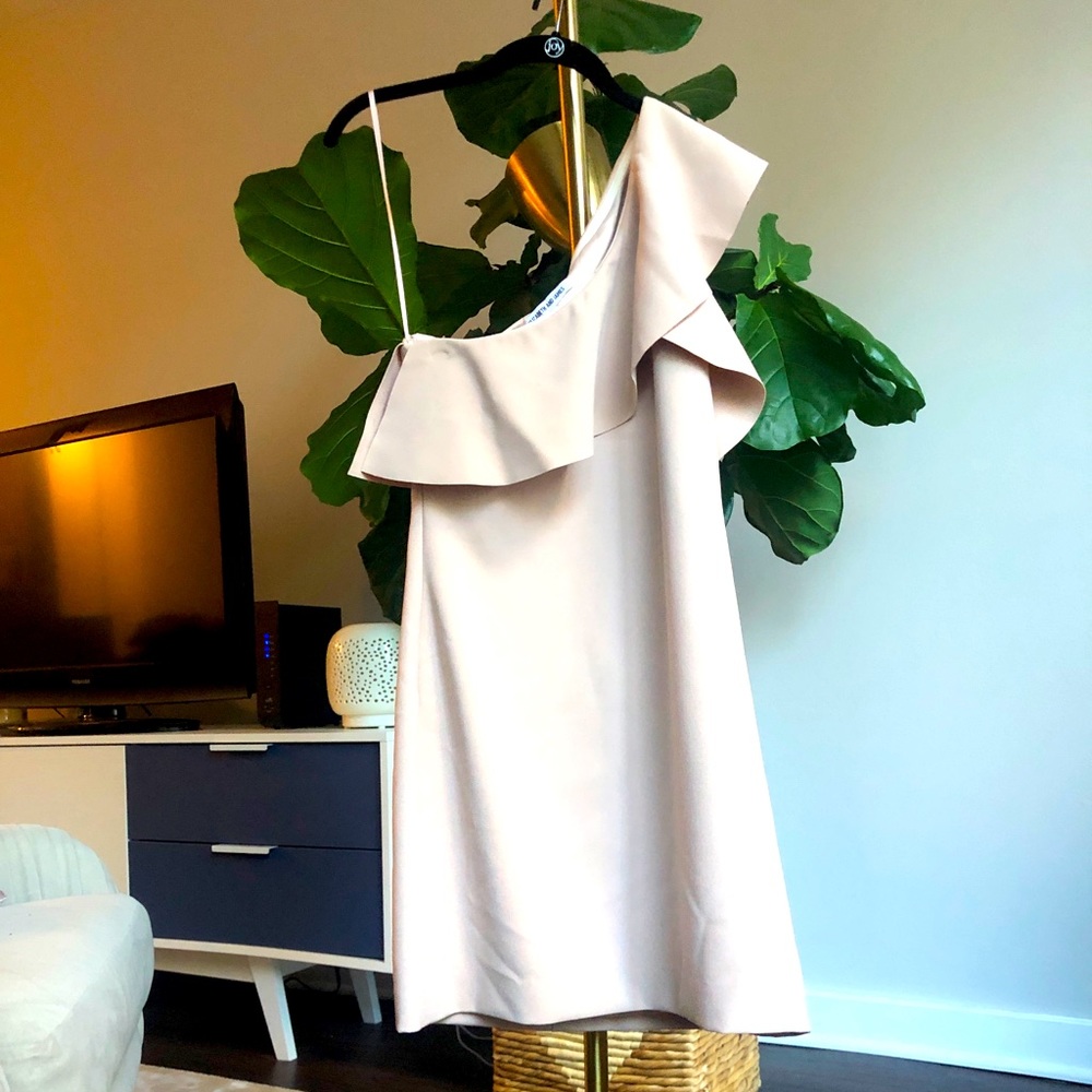 Elizabeth and James One Shoulder Ruffle Dress